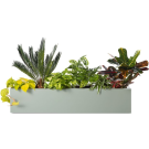 Hangende plantenbak FlowerBox