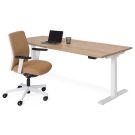 Elite elektrisch zit-sta bureau – incl. blad en 10 jaar garantie