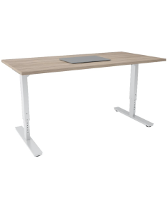 ERGOM Bold bureau wit onderstel