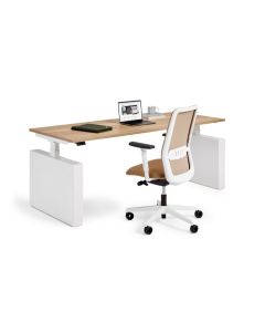 Flex 3+ wit onderstel met wangen en licht blad zit -sta bureau