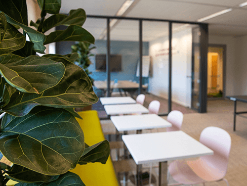 Showroom van Officemania in Arnhem met plant en kantoormeubilair